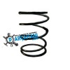 HONDA CİVİC HELEZON YAYI ARKA 2001 - 2006